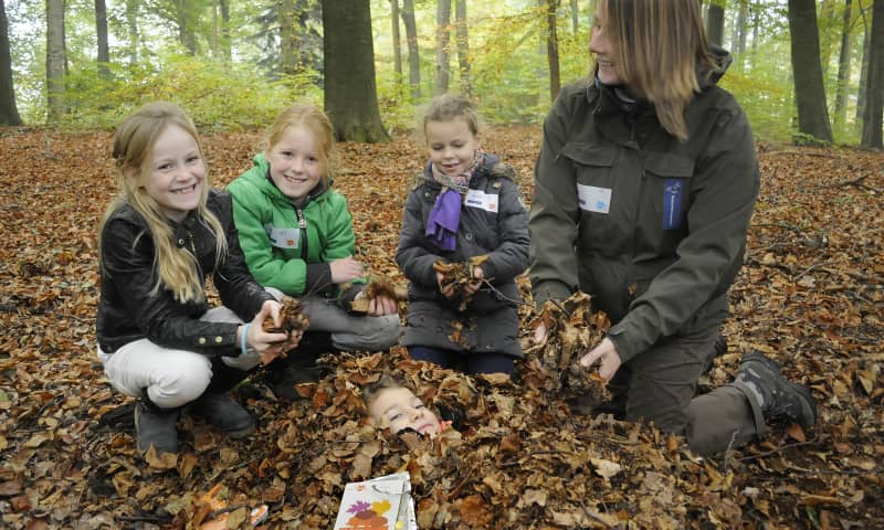 OERRR Struinen en knutselen met de boswachter Natuurmonumenten Bezoekerscentrum Gooi en Vechtstreek, 's-Graveland kindvriendelijk uitje activiteit